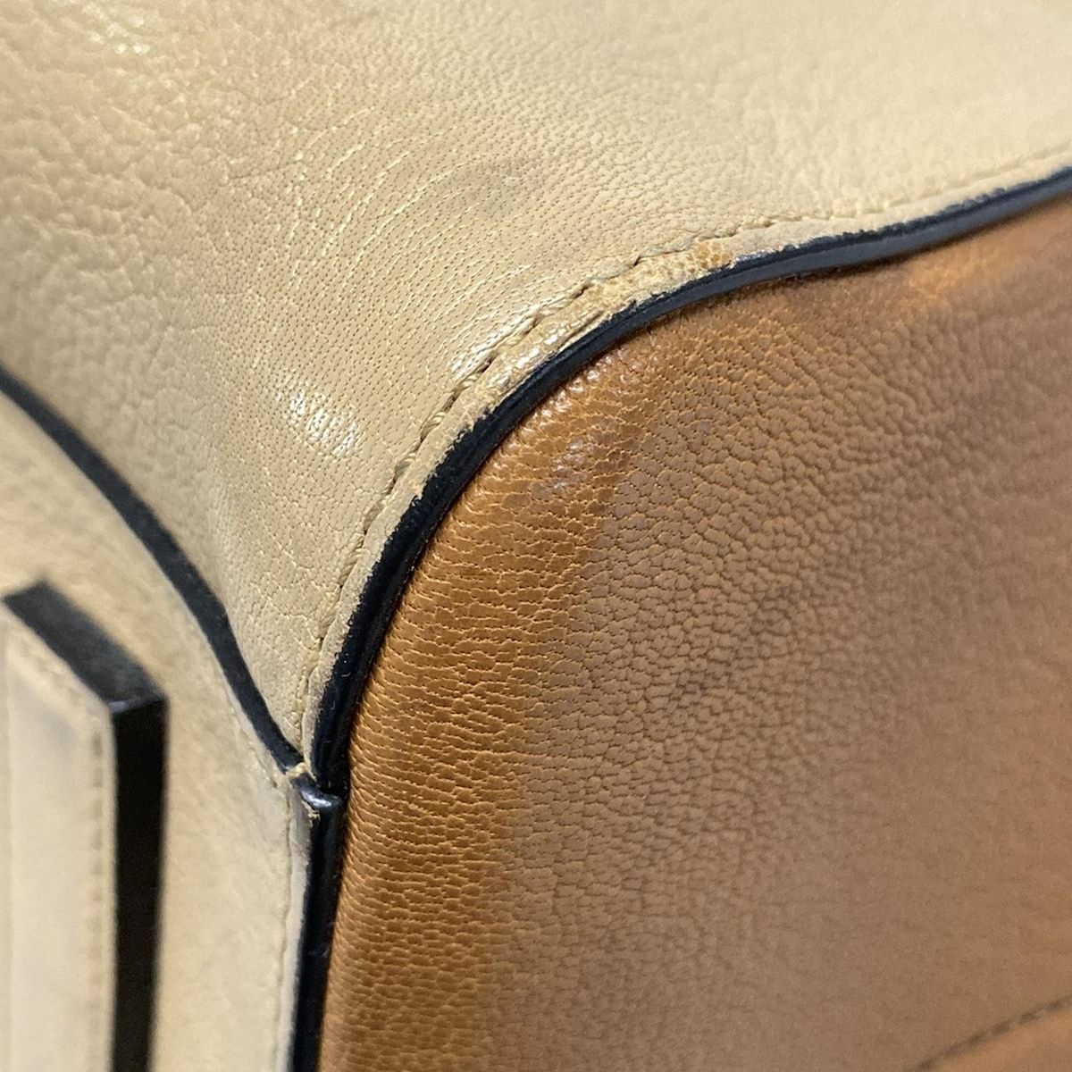 アンティゴナミディアム