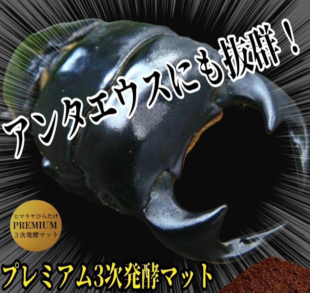 特大サイズ1500mlクリアボトル入り プレミアム3次発酵マット【2本