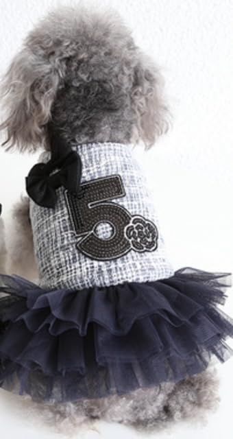 XL_紺色 S＆K 犬 猫 服 女の子 ペット服 冬用コート（XS～XLサイズ展開）ボーダー ワンピースコート チュールスカート 防虫 防寒対策 ワンコ服 小型犬 中型犬 (XL， 紺色)