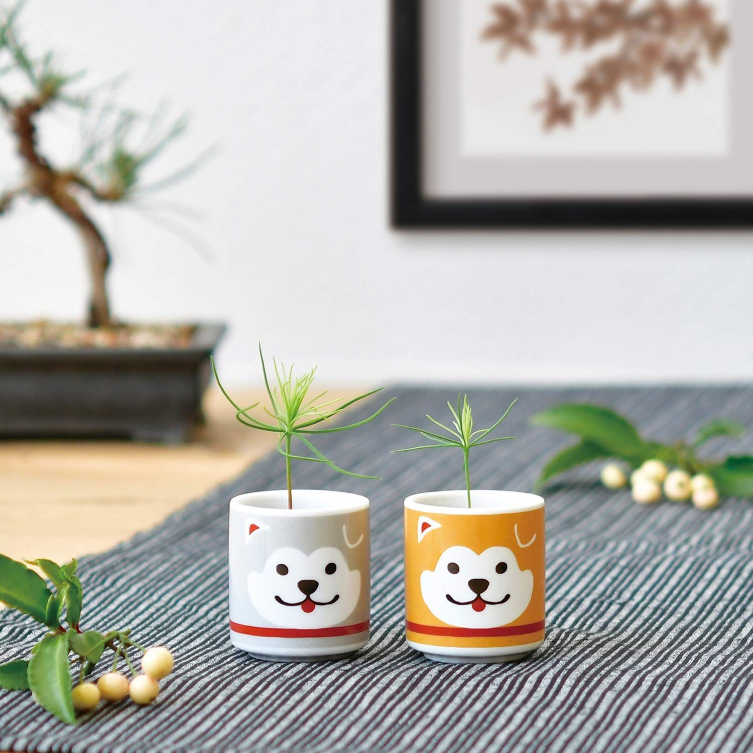 セール 鉢の径約4cm 自由研究 お芽でたおちょこ 栽培セット ハチ公 簡単 赤松 茶 ゆったり育てる 栽培キット 母の日 ミニ 盆栽キット プレゼント まめ盆栽 手のひら庭園 誕生日 秋の | GD-92201 春 聖新陶芸