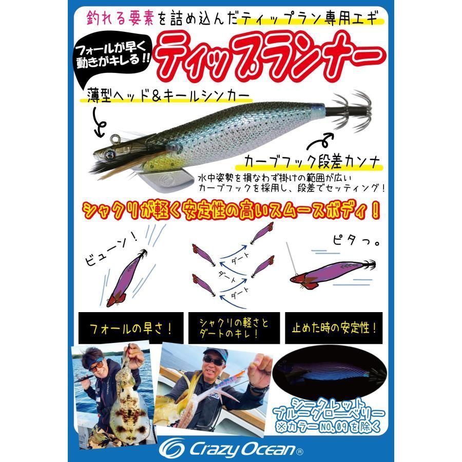 クレイジーオーシャン ティップランナー 3号 #06 ピンクパープル/ゴールド