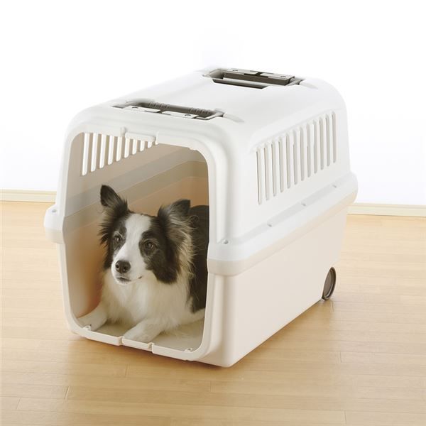 キャンピングキャリー L アイボリー ペット用品