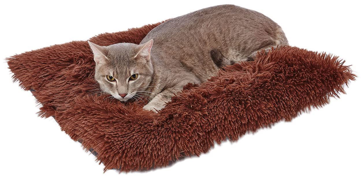 【新着商品】ペティオ (Petio)犬猫用 広々くつろげる ふわふわクッションマット AWXダークブラウン レギュラー