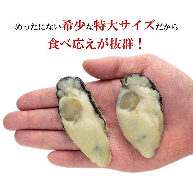 【メルカリShopsアワード2023 食品・飲料部門1位受賞ショップ】🗾【甲羅組】 🦪 ジャンボ広島かき1kg 🦪　2L・3Lサイズ（解凍後850g/約26～35粒）牡蠣　カキ　むき身