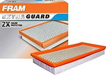 Fram GroupCA3901Air Filter-AIR FILTER (並行輸入品)