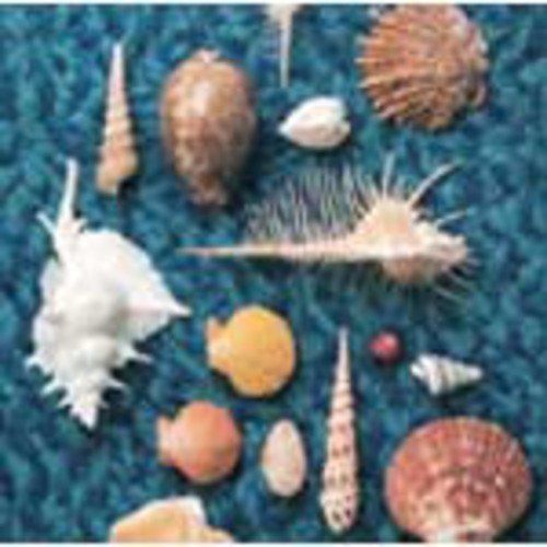 スピッツ「CYCLE HIT 1991～1997 Spitz Complet…」 CYCLE HIT 1991-1997 Spitz Complete Single Collection