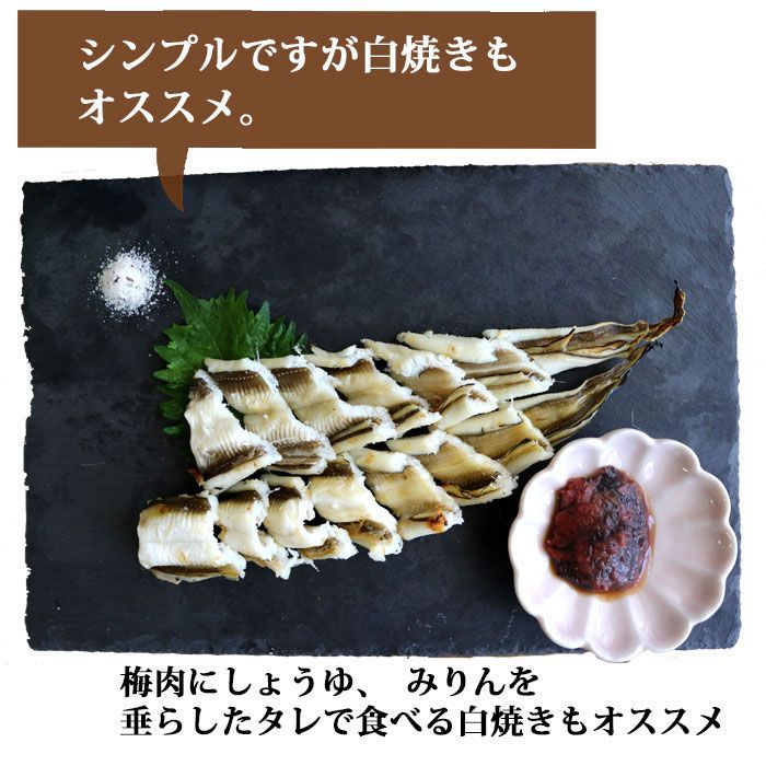 朝〆 生 穴子 開き 約100gX10尾（冷蔵便） レシピ付き あなご