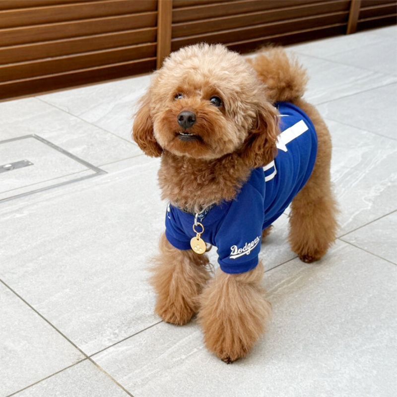 【MLB公式】大谷翔平モデル　Tシャツ　ドジャース　ユニフォーム　応援グッズ　犬服　中型犬　大型犬　野球