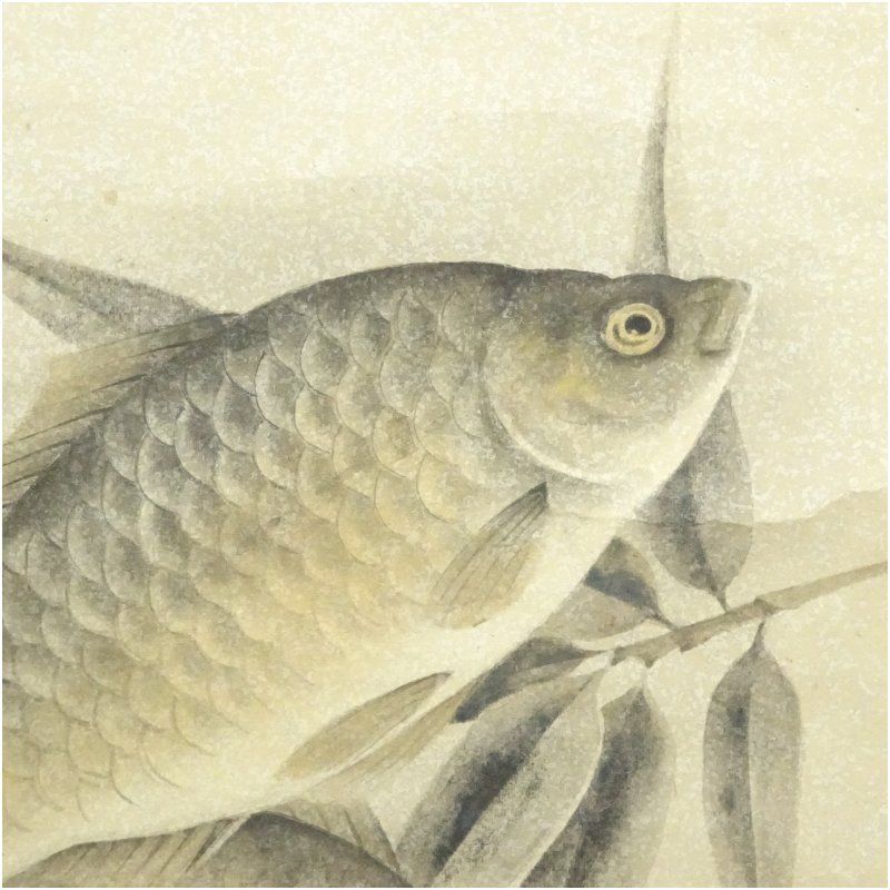 富取風堂筆 鮒 肉筆紙本掛軸 共箱 掛け軸 床の間 書 おしゃれ 絵画 表具 芸術 茶道 年中掛け インテリア 茶掛 掛物 和室 IMPECCABLEHEALTHCARESERVICES_COM