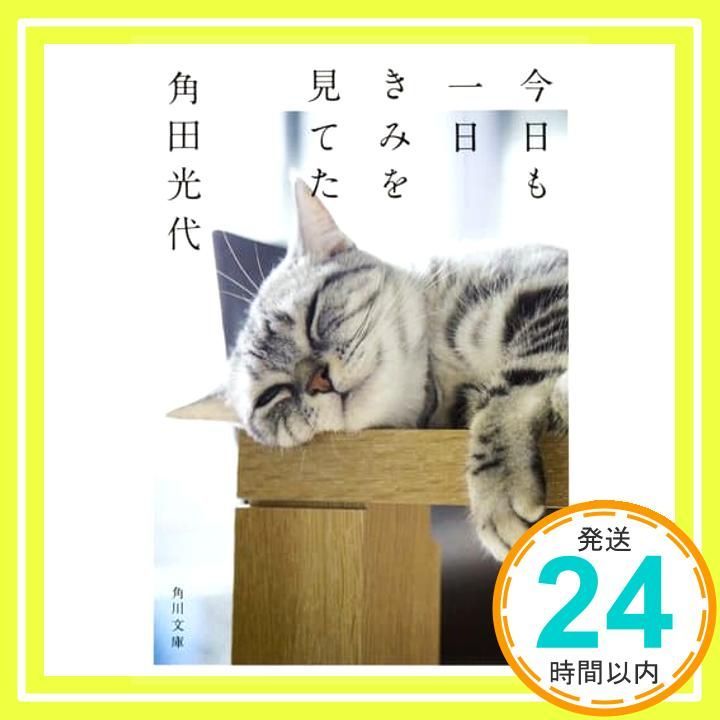今日も一日きみを見てた 角川文庫 角田 光代_02