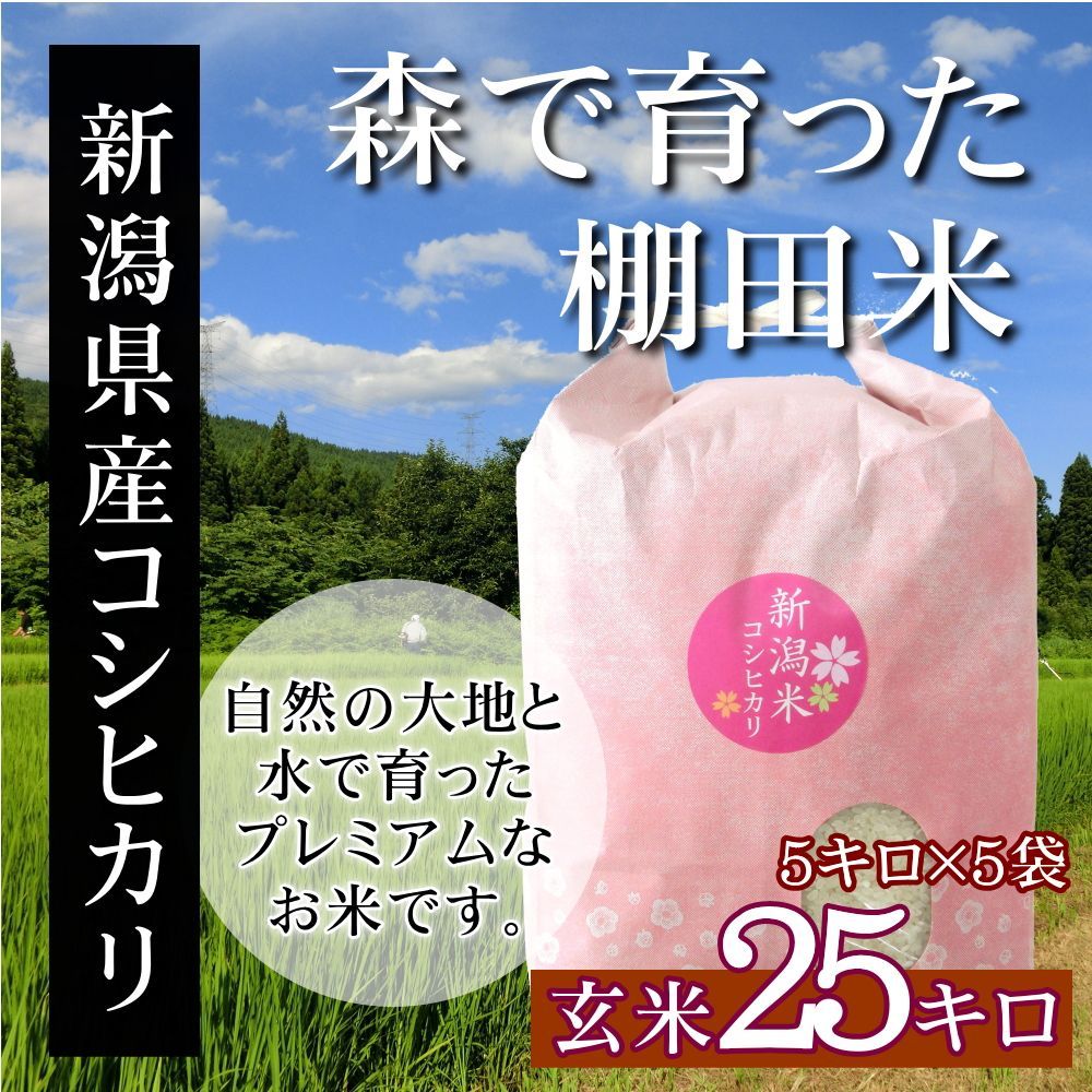 新潟米コシヒカリ 玄米 25kg（5kg×5袋）新潟産こしひかり 産地直送