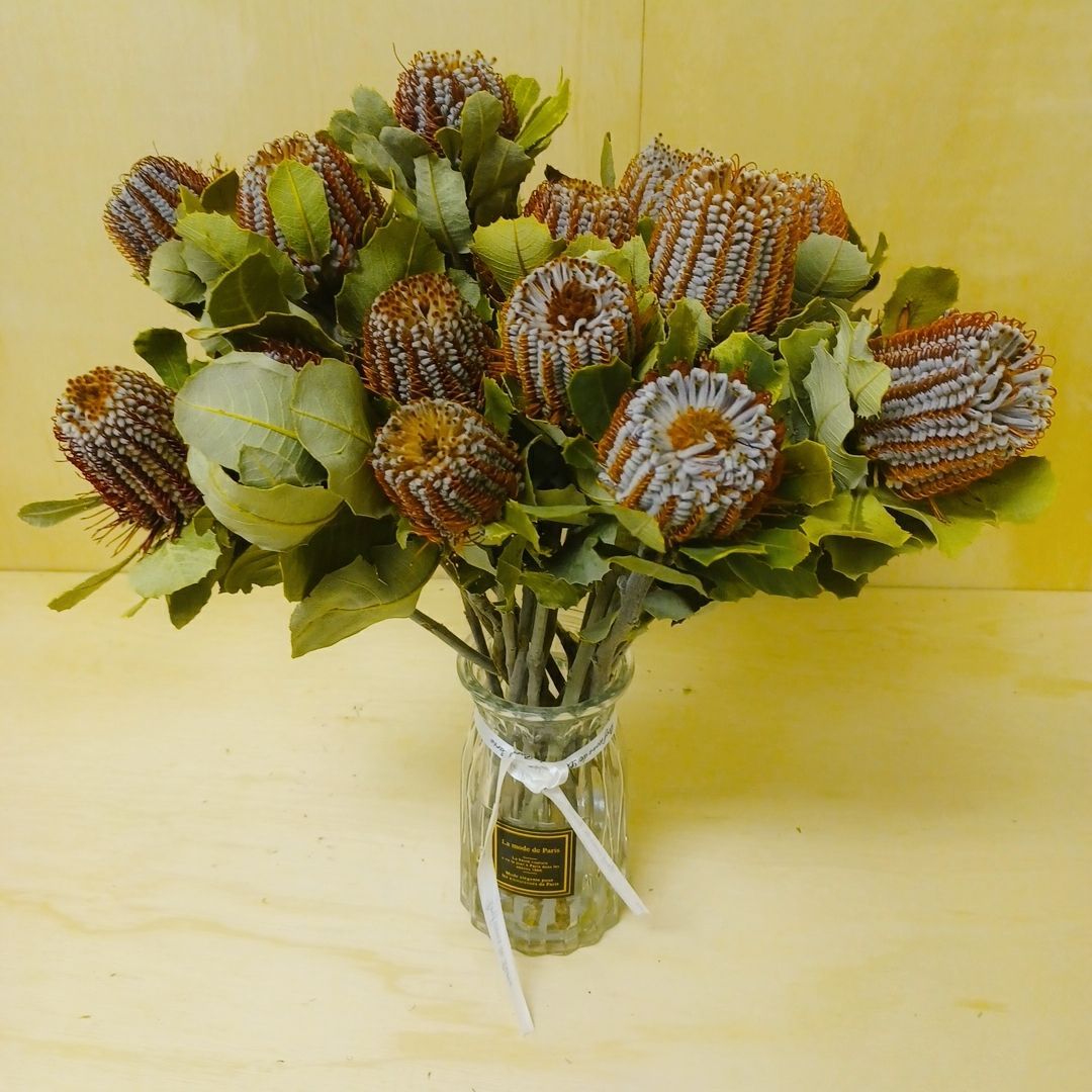 ドライフラワー☆大きめパンパスフライングボール☆インテリア