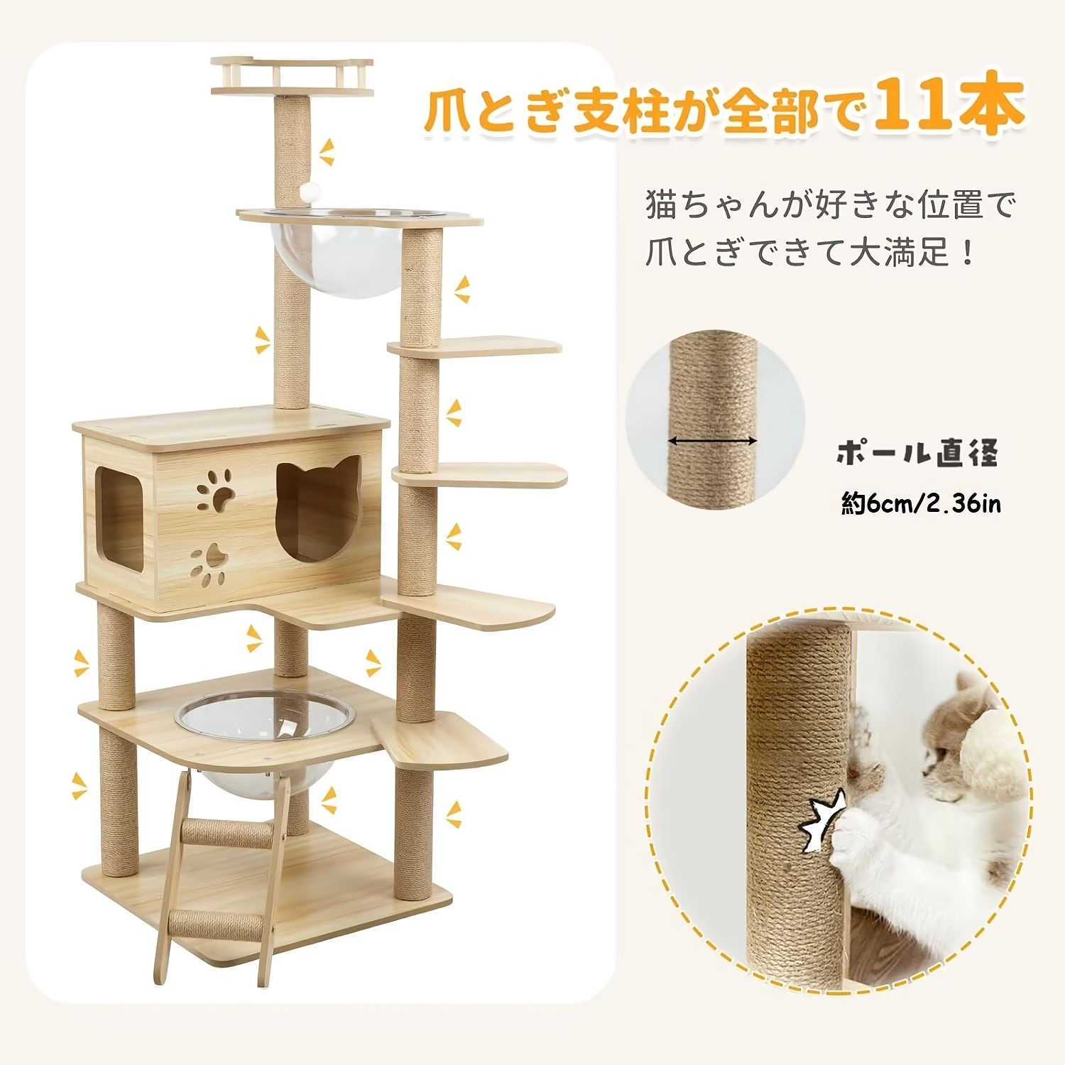 短足猫用