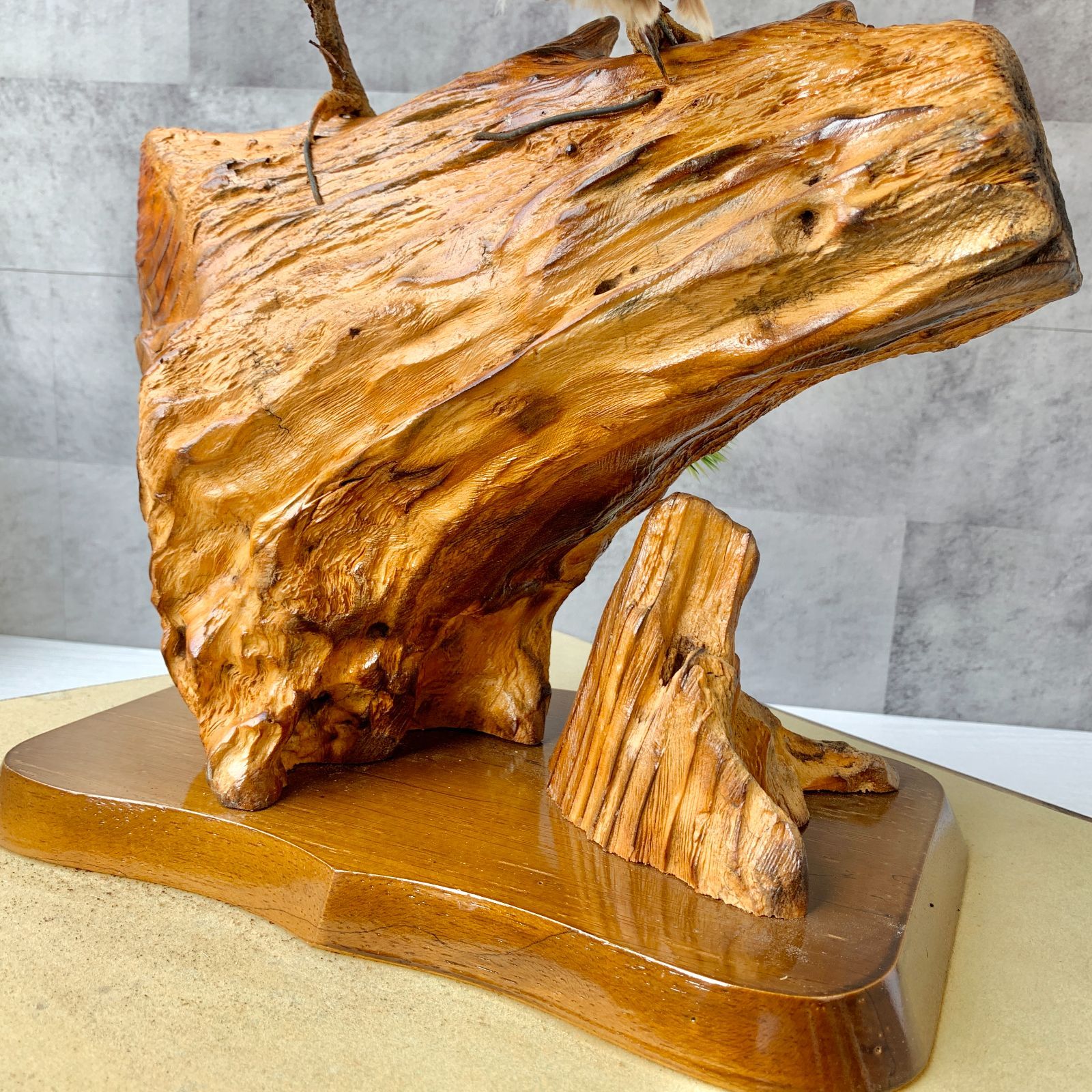 本州送料割あり】白鷹 松上鷹 タカ 剥製 動物 置物 飾り物 鑑賞