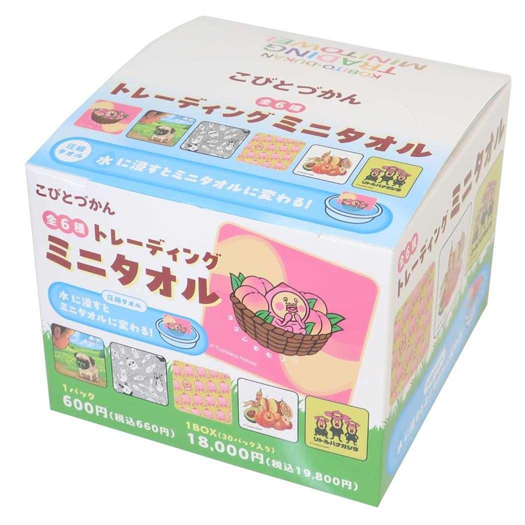 2196様感謝‼️秋‼️高蒔絵『木の実』絵がわり引盃18客➕1プレゼント桐
