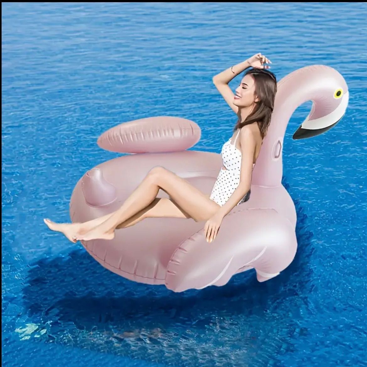 水中動物型ピンクシリーズ仕様