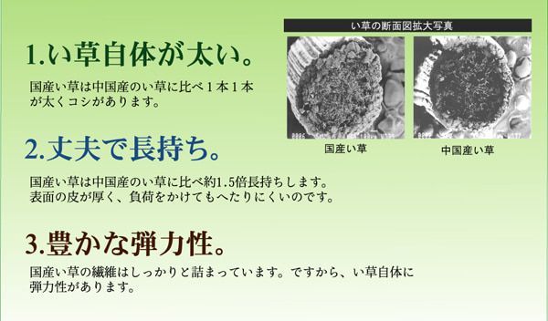カーペット 五風