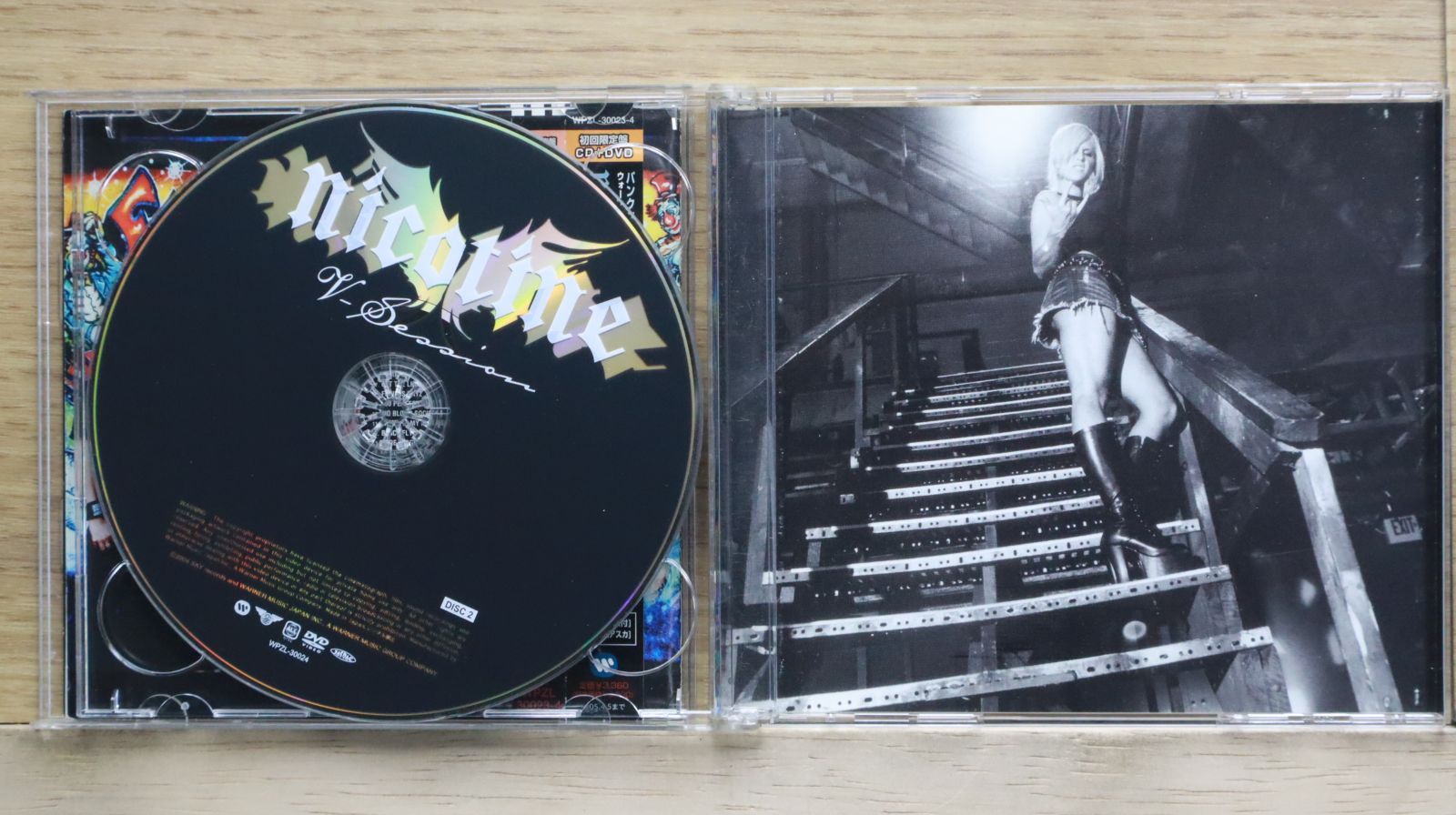 ブルーノグルーニング　本　CDセット 希少 ブルーノグルーニング 本 CDセット 希少