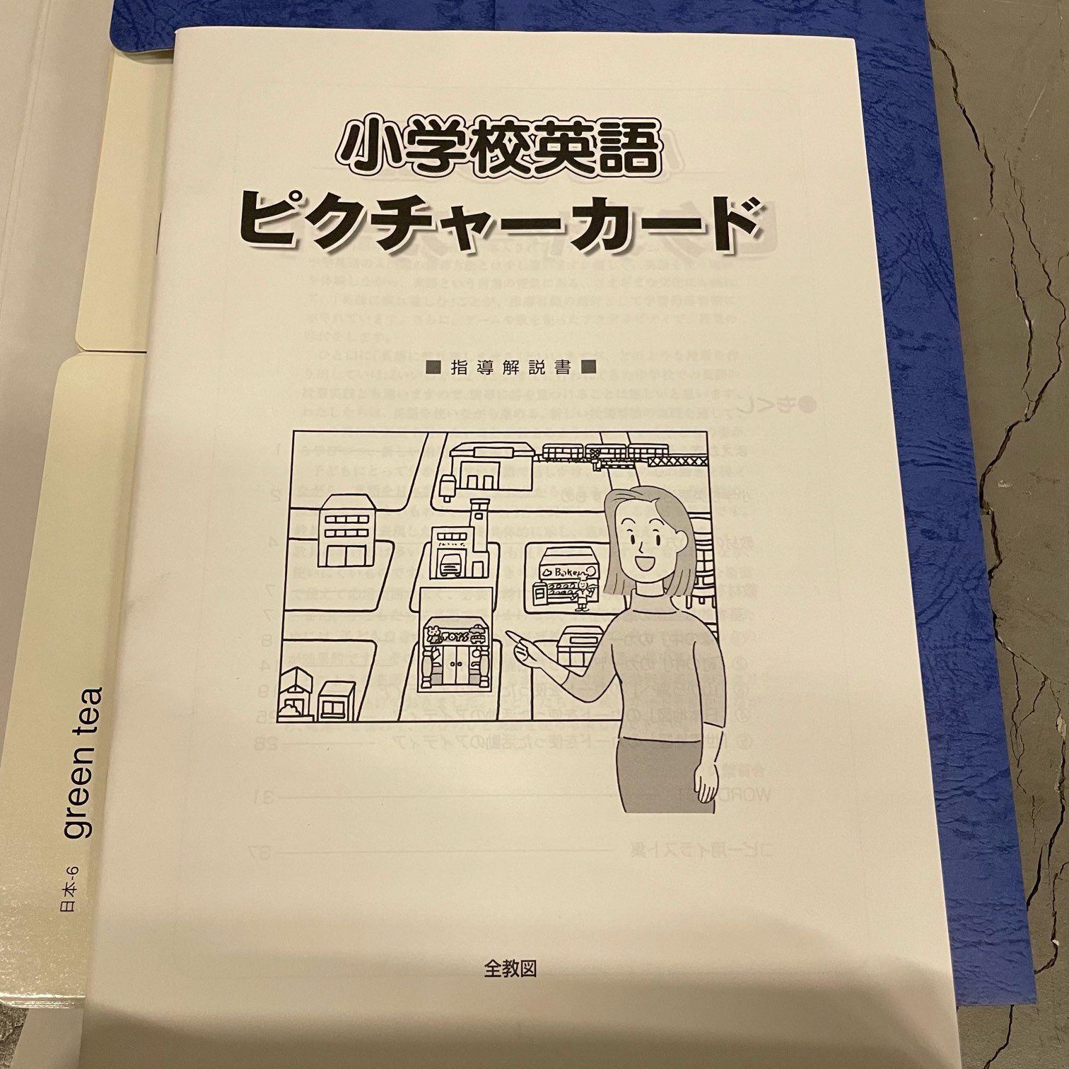 グースピーク　GOOSPEAK ピクチャーカード　英語教材 遠くからでもはっきり見え、教室で使いやすい！ カラー版カード