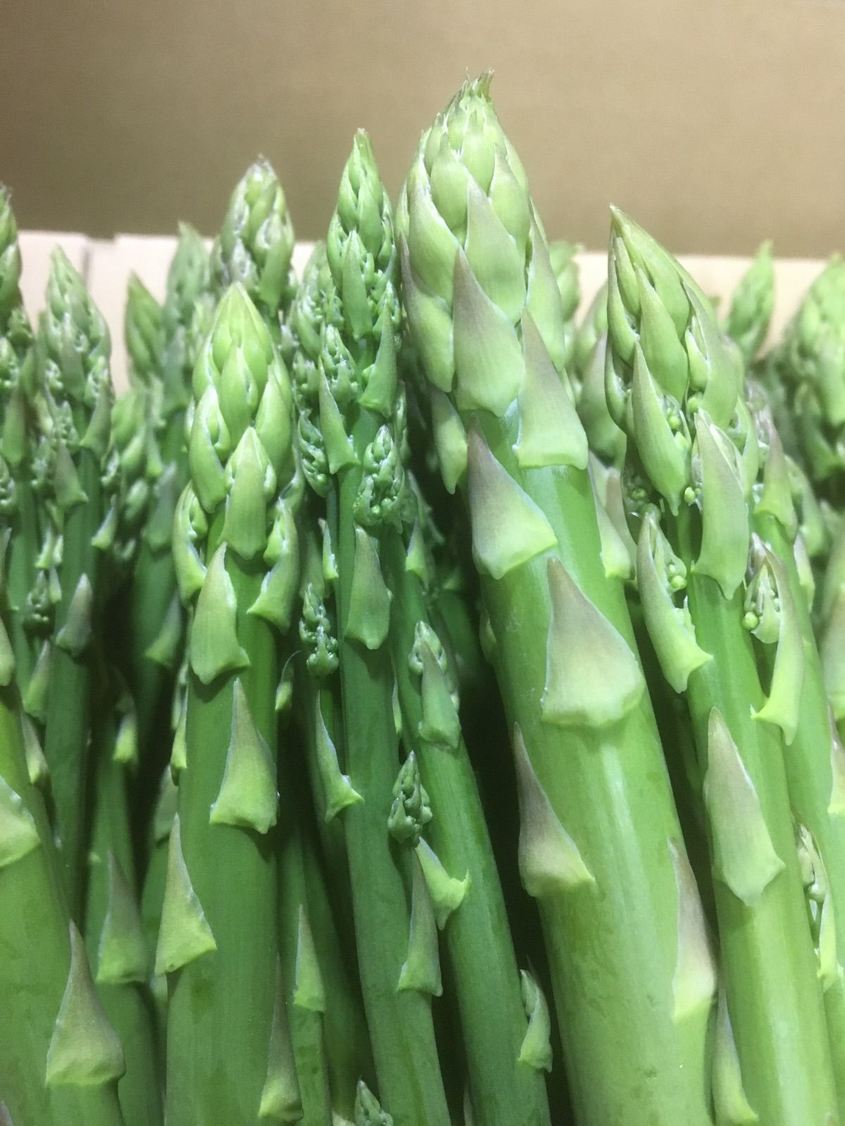 長崎産 アスパラガスB品 2kg 太め クール便 - メルカリ