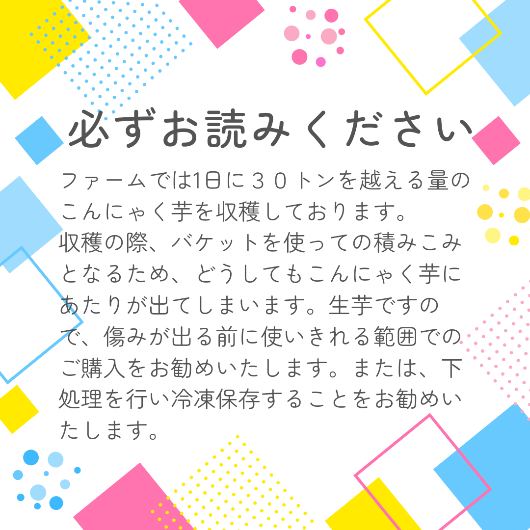 こんにゃく芋10キロ　農家直送　みやままさり