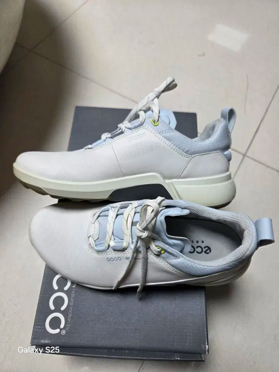 ゴルフシューズ バイオム