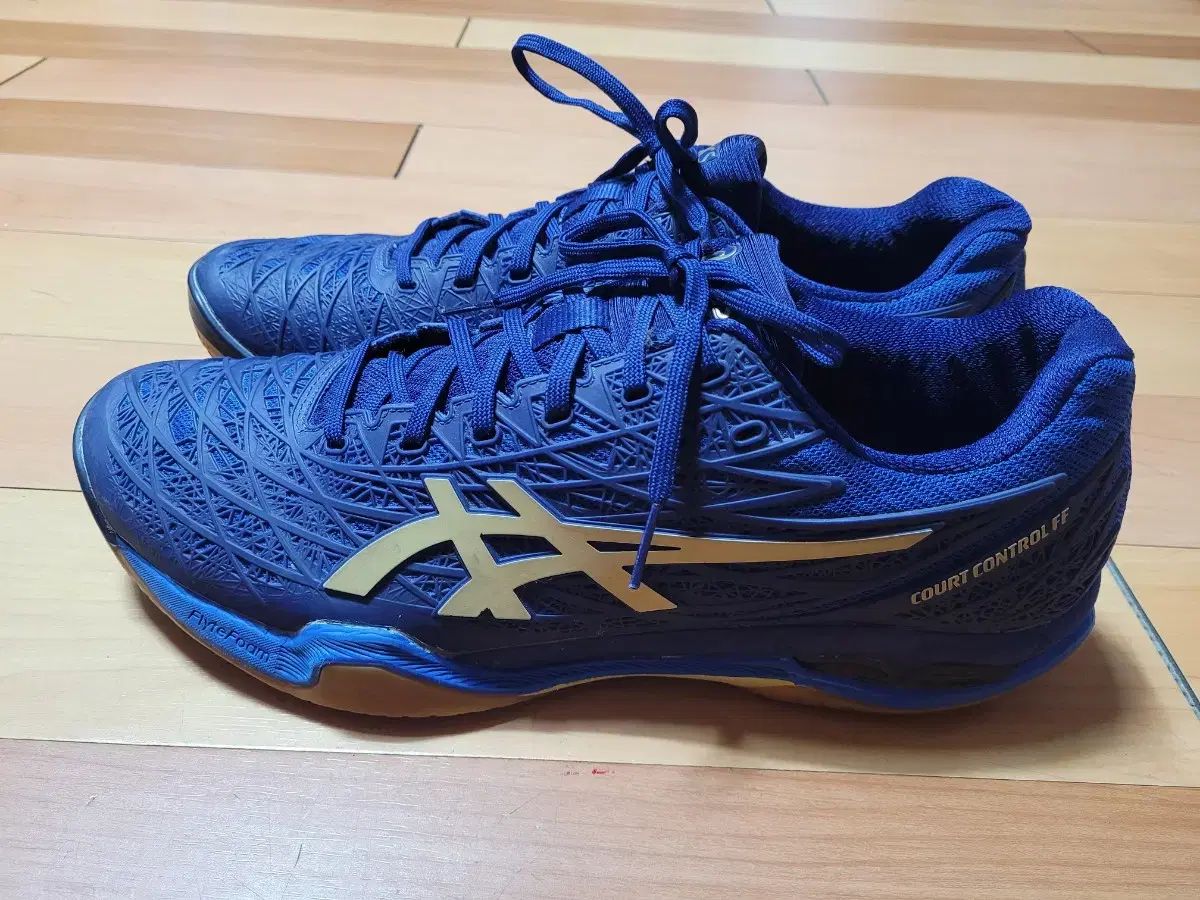 asics アシックス COURT CONTROL FF バドミントンシューズ 290 mm