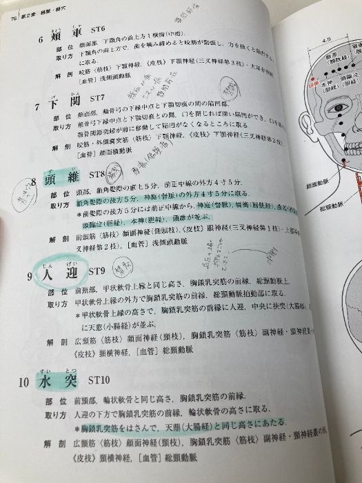 新版 経絡経穴概論 拡大版第2版　医道の日本社 新版 経絡経穴概論 第2版 ｜ 医道の日本社(公式ショッピング
