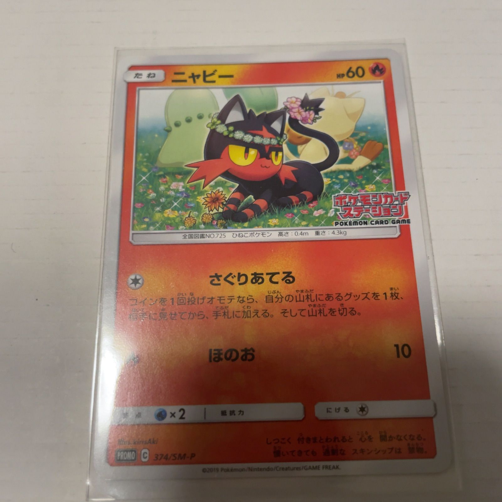 ポケモンカードステーションチコリータニャビーニャース