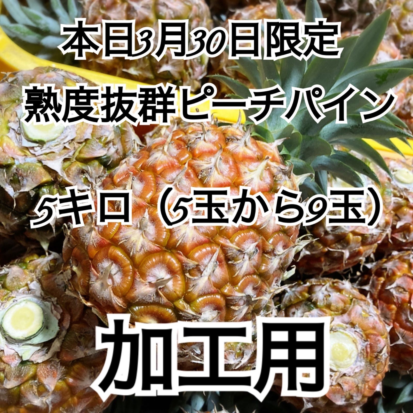 沖縄石垣島ピーチパイン 本日限定価格5キロ パイナップル - メルカリ