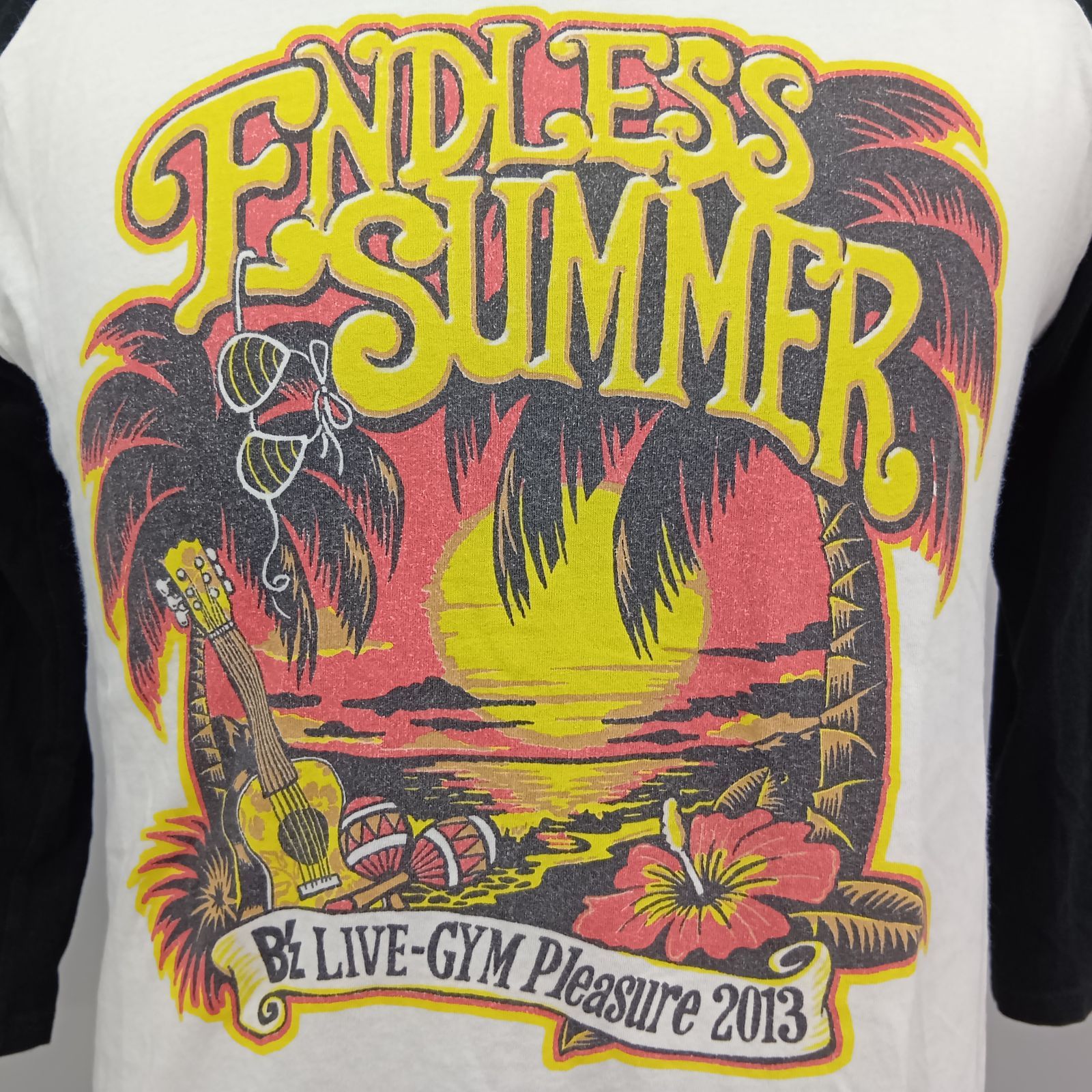 B'z LIVE-GYM ENDLESS SUMMER Tシャツ XLサイズ B'z LIVE-GYM Pleasure 2013 -ENDLESS SUMMER-』ツアー
