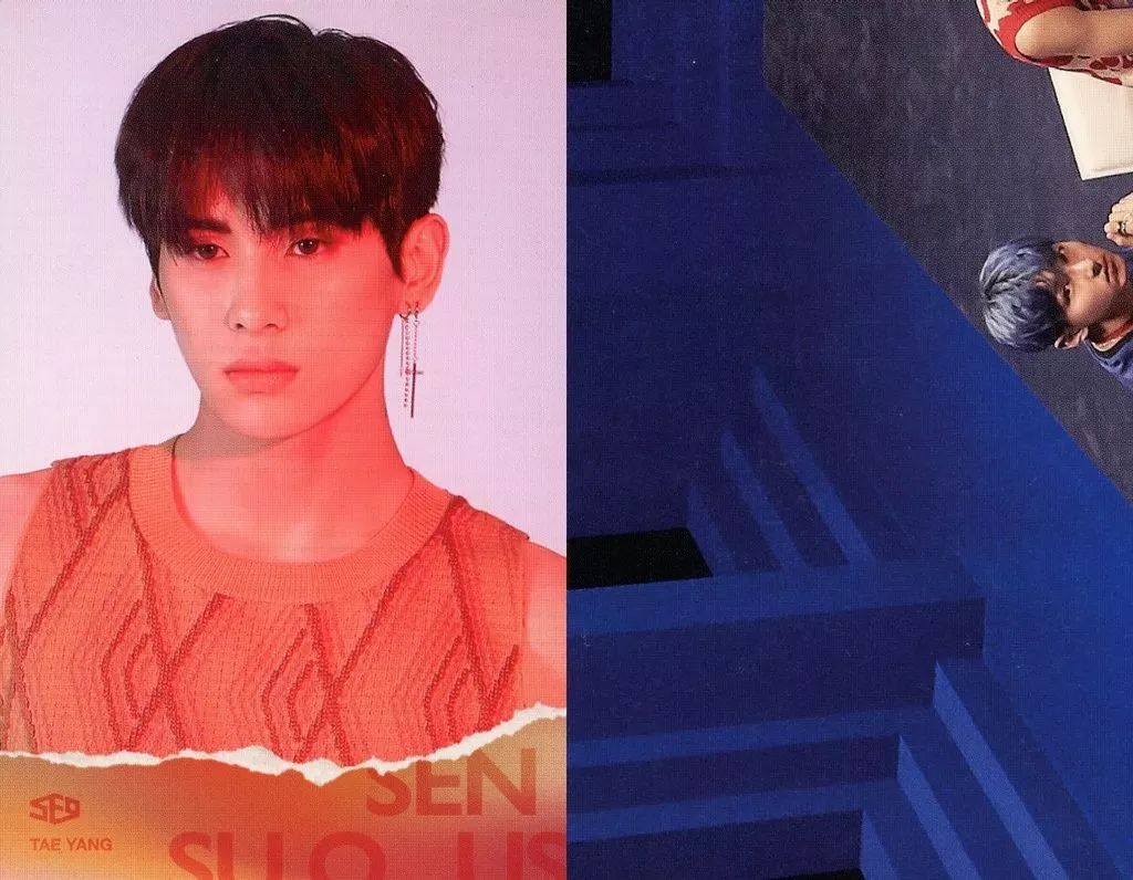 中古】コレクションカード(男性) SF9/TAE YANG(テヤン)/裏面