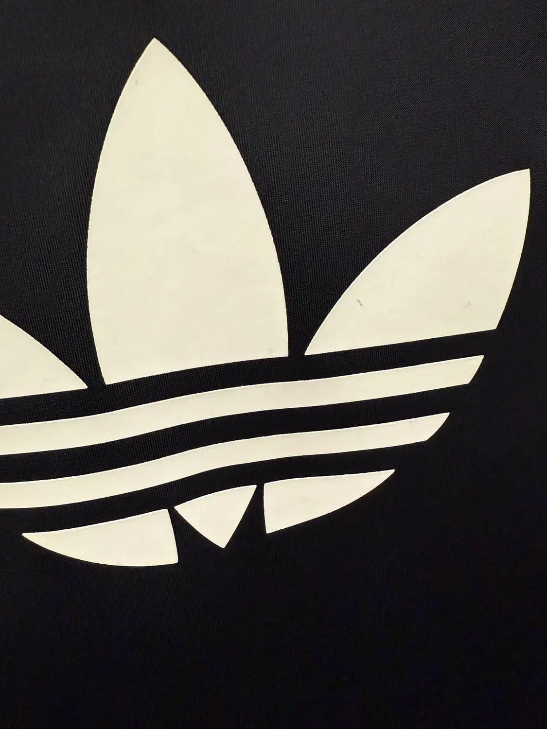 ファイヤーバード SuperStar