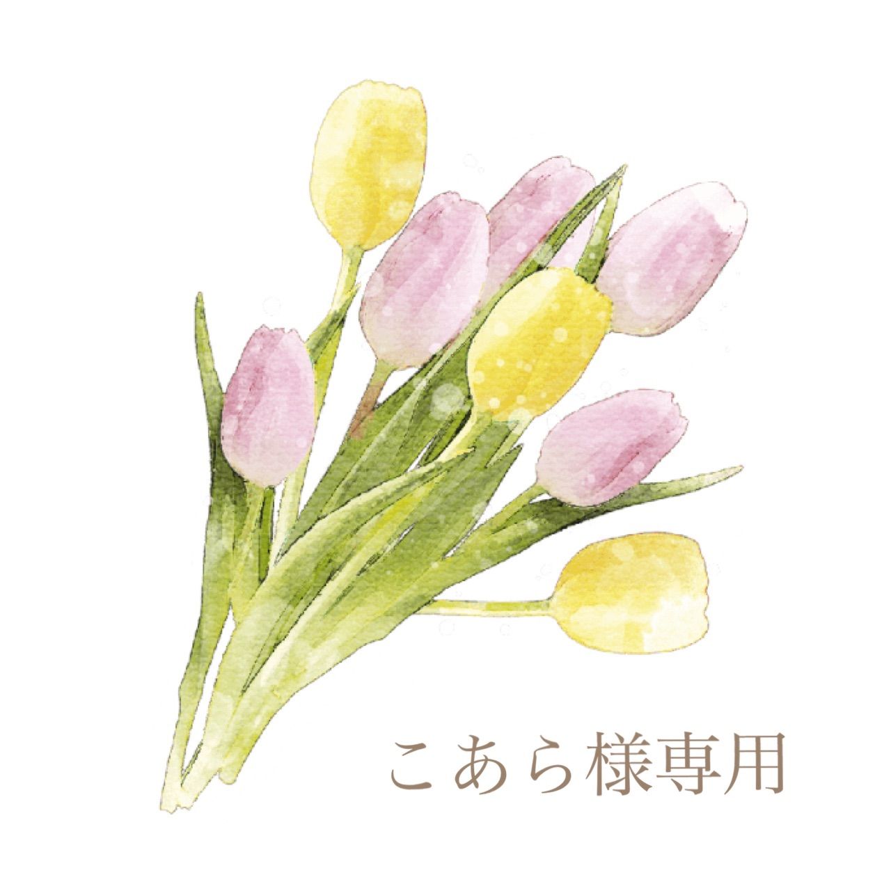 ◎ こあら様専用 - メルカリ 