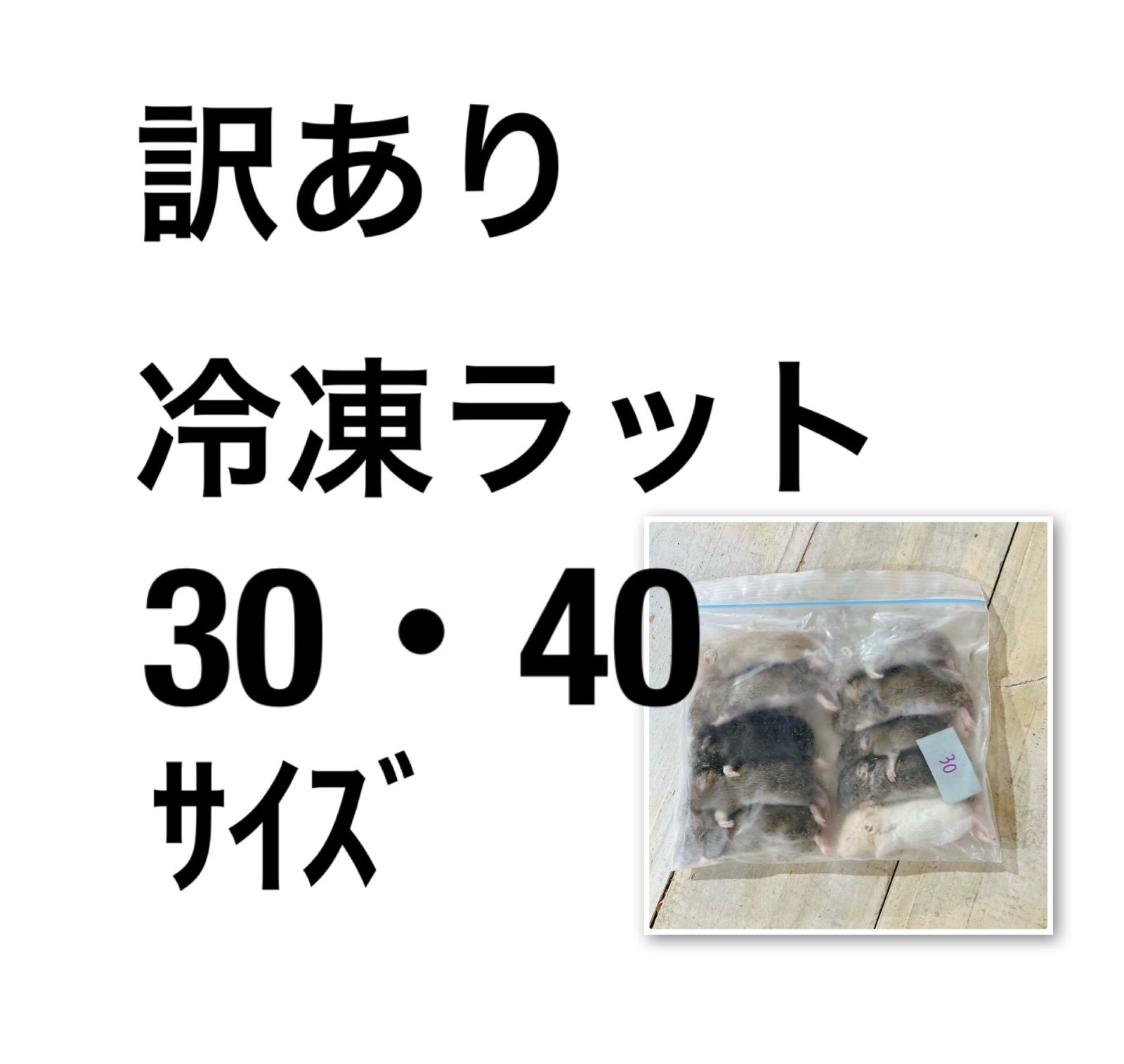 冷凍ラット 30.40ｻｲｽﾞ 合計100匹