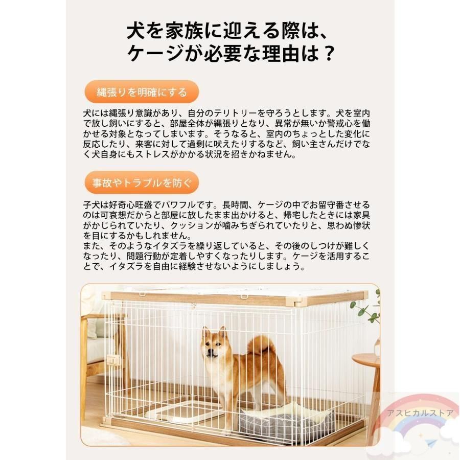猫 犬