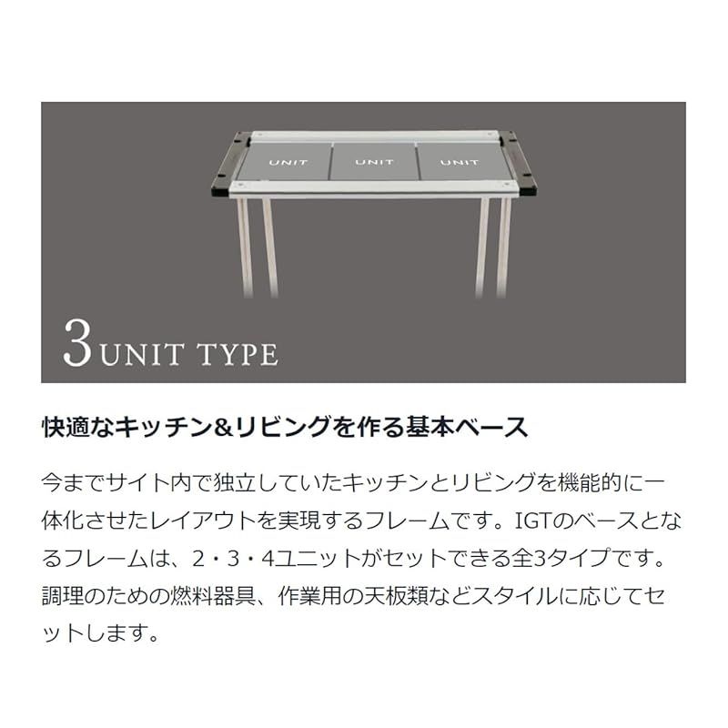 スノーピーク IGTフレーム ブラック トートバッグ付 2021 春 雪峰祭限定 スノーピーク snow peak IGTロースタイルセット ブラック 雪峰祭