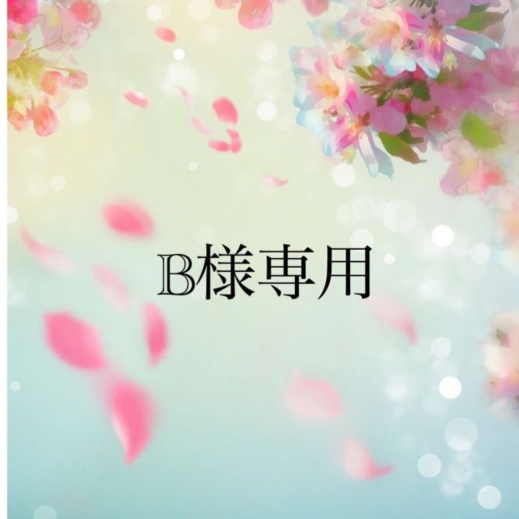 きき様❤️おまとめ専用ページです。1/15まで♡ B様専用ページ - メルカリ