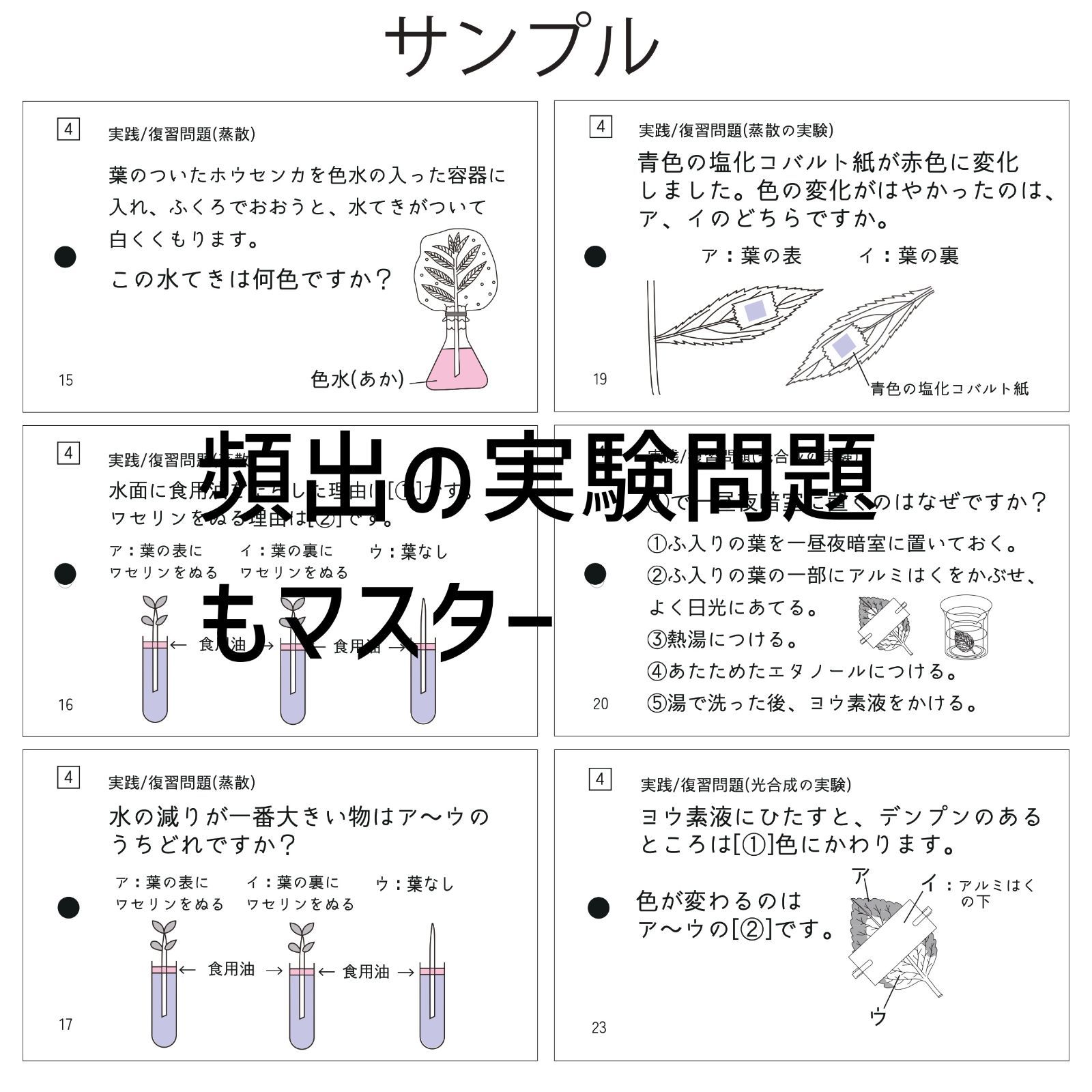 中学受験 生物マスター マスターシリーズ② 暗記カード - メルカリ