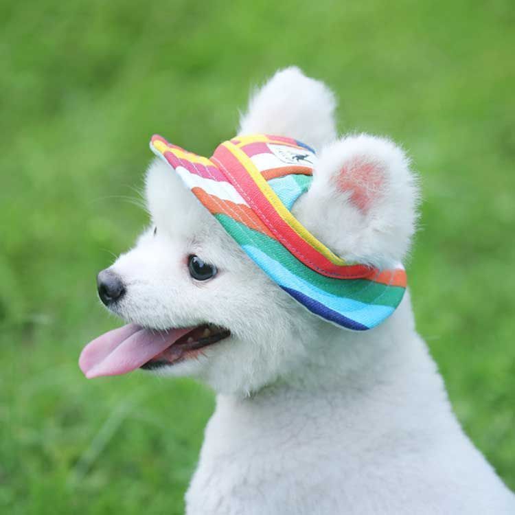 キャップ 夏 犬用 ハット 日射病 帽子 サンバイザー アウトドア かわいい リボン 熱中症対策 耳出し ペット用 uvカット 紫外線防止 メッシュ 通気性 小型犬 中型犬 日除け sowa6585971