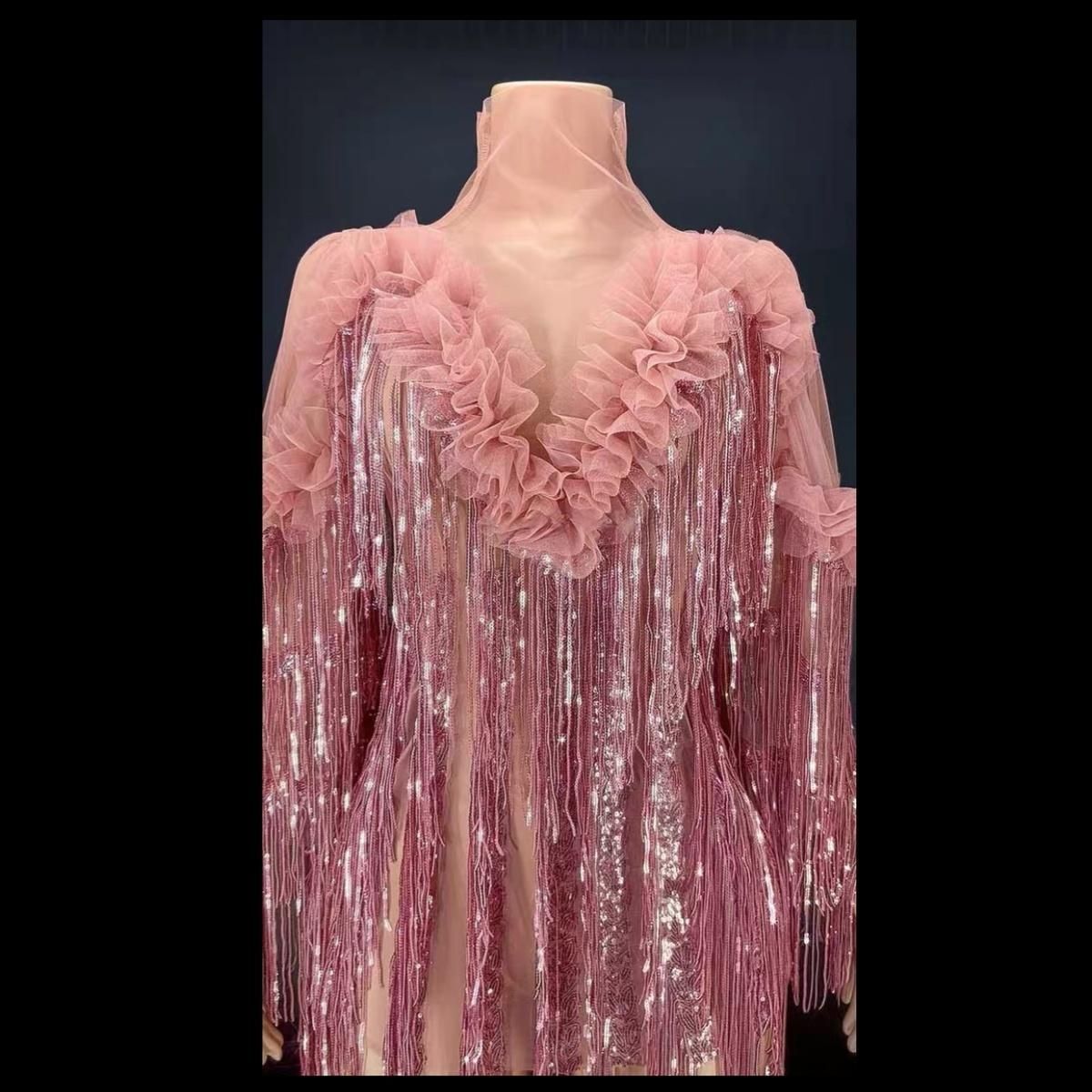 ♥ 社交ダンスドレス ベリーダンス衣装 キラキラ ラメ フリンジ セクシー ミニドレス ナイトクラブ 誕生日パーティー 用 ピンク WHITEMONARCHHOTEL_COM