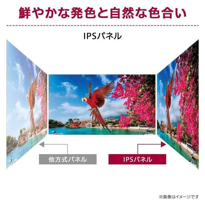 新ムシキング ?(ナゾ)のVガジェ タイムボカンコラボ セガ (V 新ムシキング ?(ナゾ)のVガジェ タイムボカンコラボ セガ (V