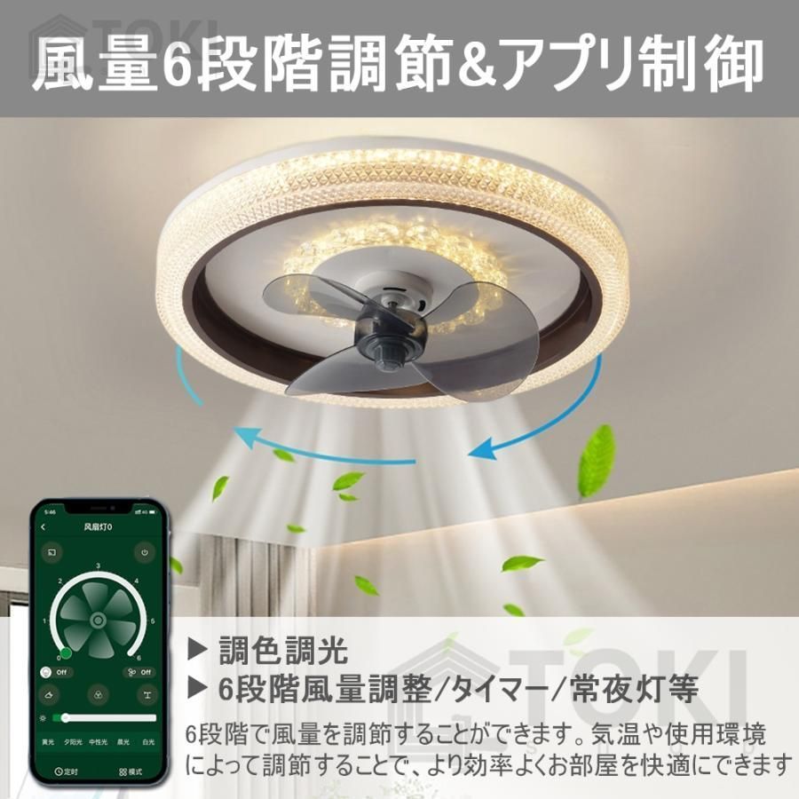 サーキュレーター