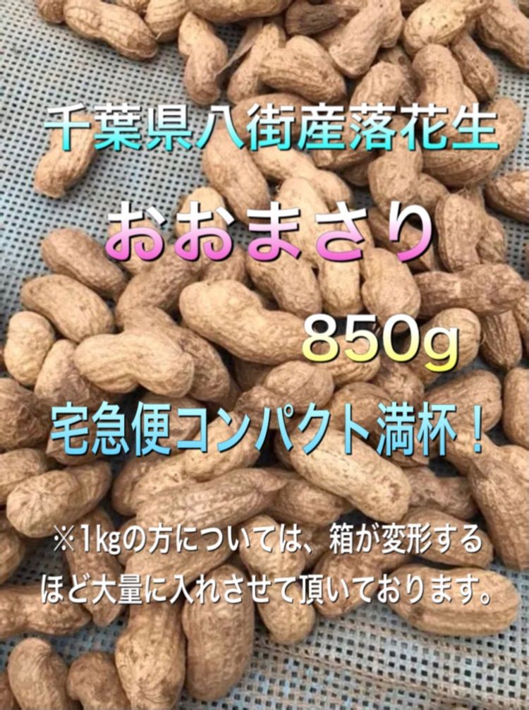 変革のパワーを授ける・願望成就 千葉県産 乾燥生落花生 ３キロ - その他