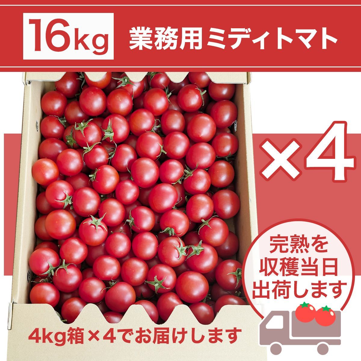 16㎏ 滋賀県