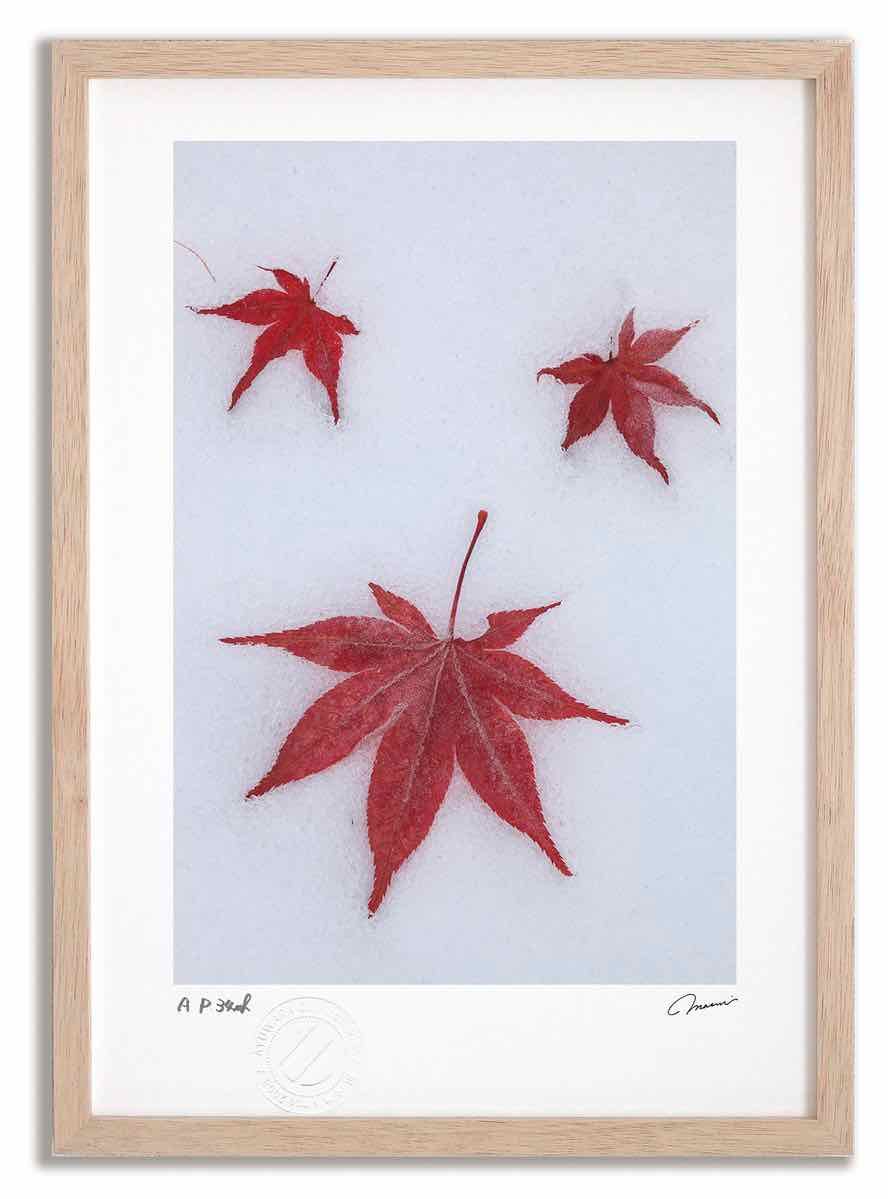 アートフォト 絵画 新雪と落ち葉8 高橋真澄|インテリア 額入り 額装込 風景画 油絵 ポスター アート アートパネル リビング 玄関 プレゼント モダン アートフレーム 飾る Mサイズ おしゃれ 壁掛け 絵