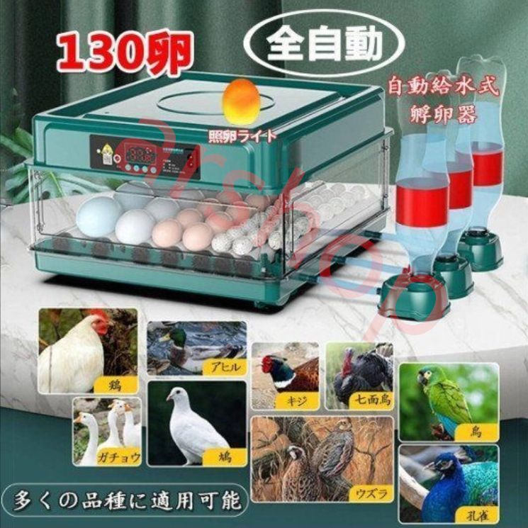家庭用 孵化用