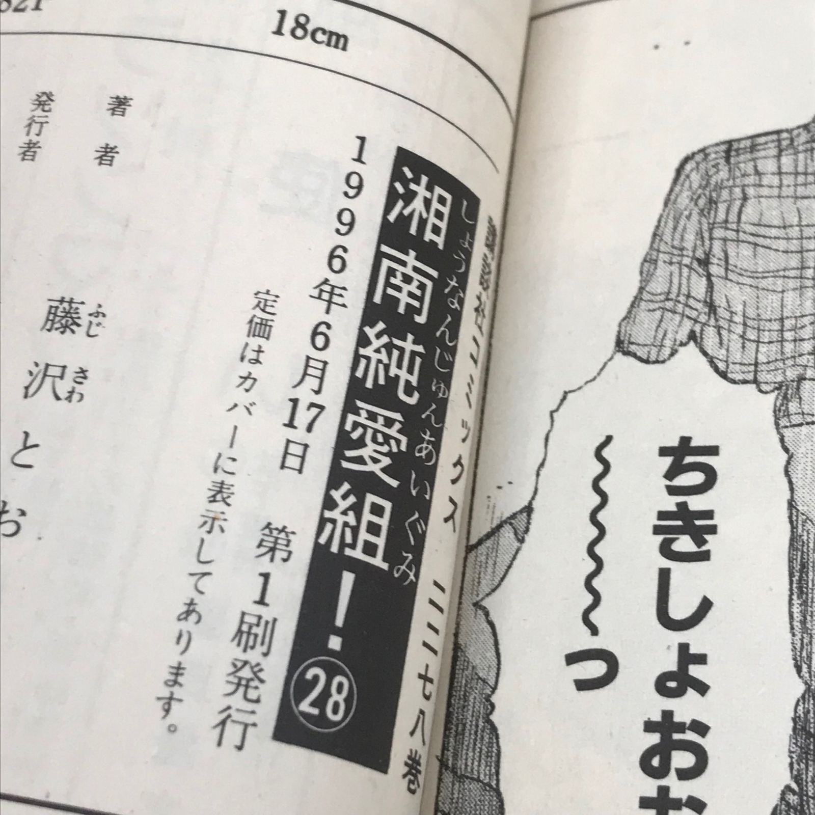 初版】湘南純愛組！ 28巻/【作者】藤沢とおる/GF-0225017290-YP