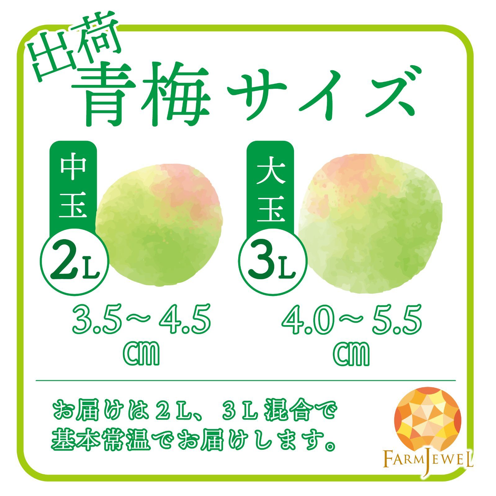 今ならまだ間に合う!!!]完熟梅 南高梅 和歌山県 みなべ産 20kg 2L