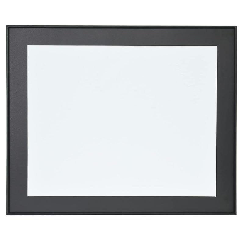 フジ FUJICOLOR アルミ額縁 A31 全紙 ブラック 506871